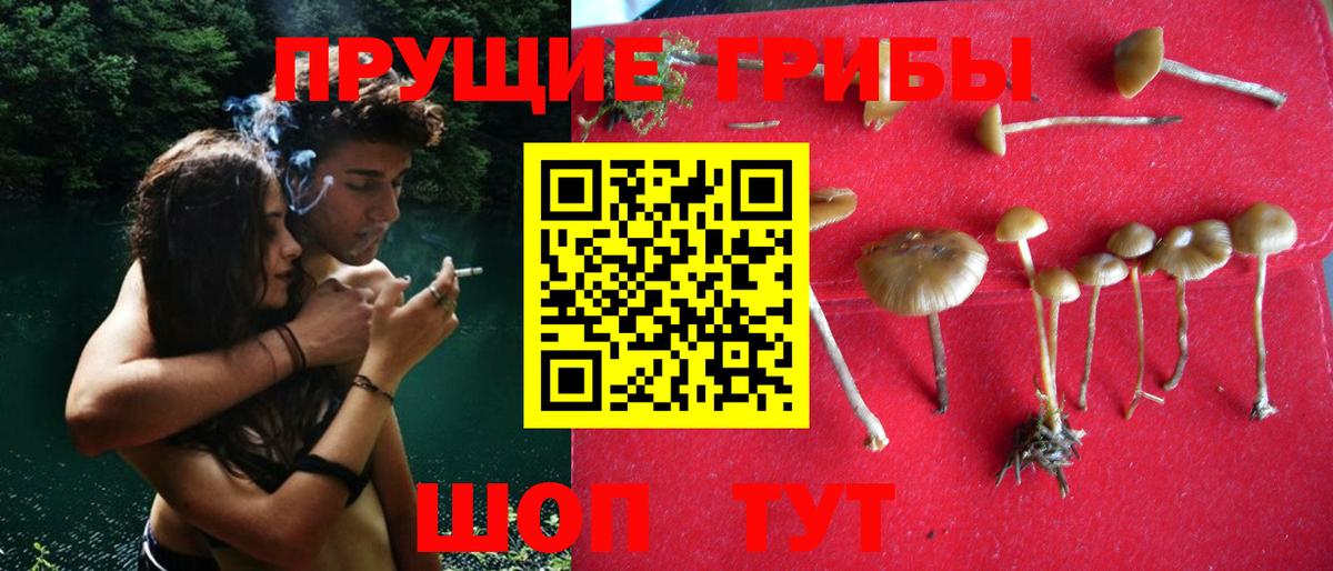 Псилоцибиновые грибы ЛСД Свободный
