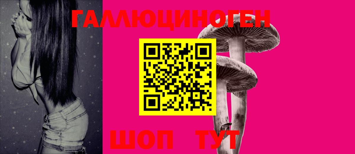 Псилоцибиновые грибы GOLDEN TEACHER  Псилоцибиновые грибы GOLDEN TEACHER  Вход с VPN  Свободный 